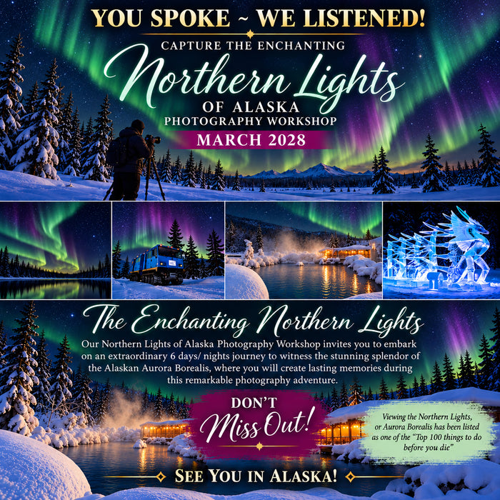 Alaska Northern Lights Photography Workshop | March 2028