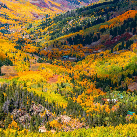 Colorado Legendary Fall Color Photography Retreat - October 2025 - Image 10 Photographic